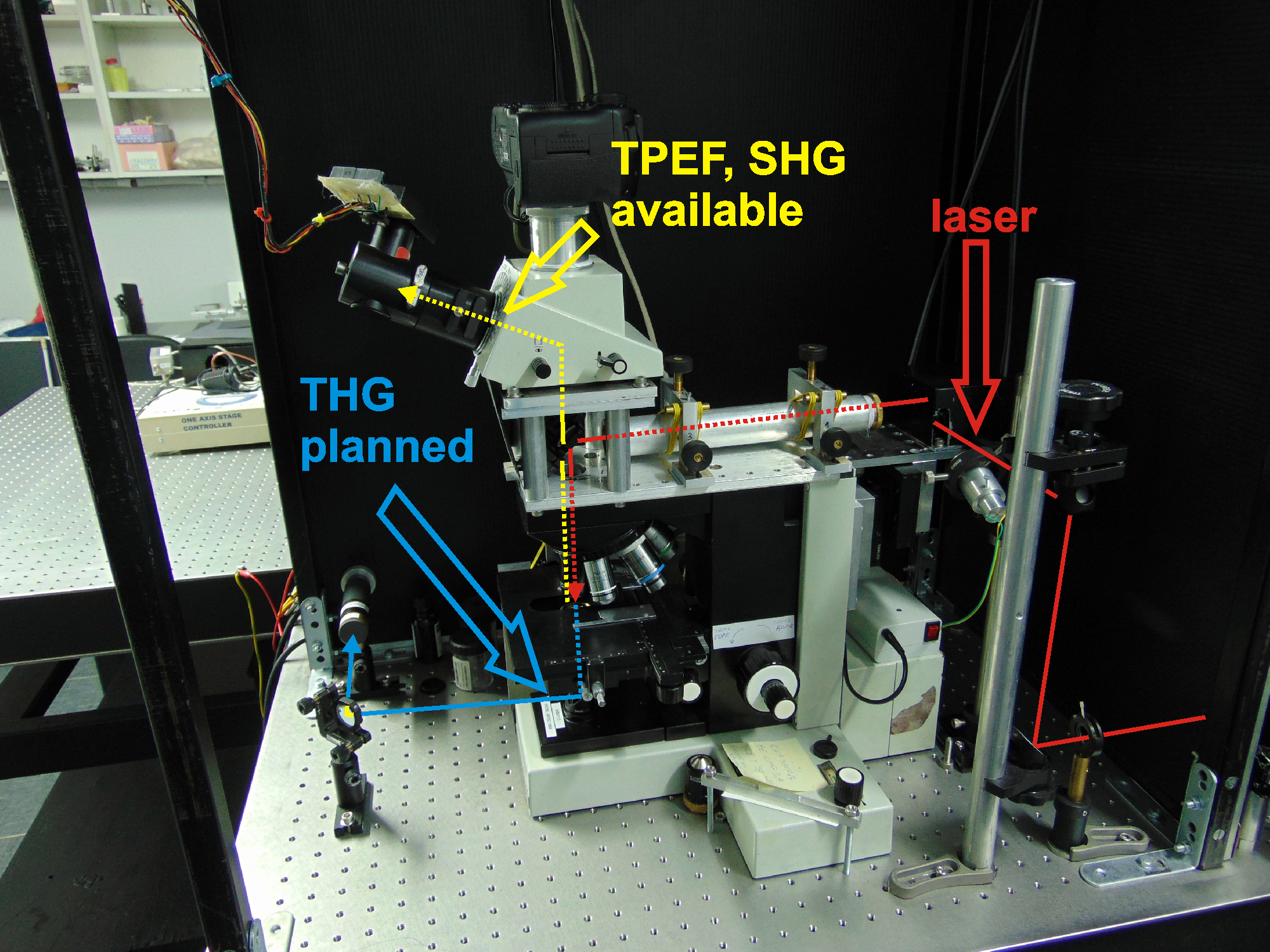 Microscope